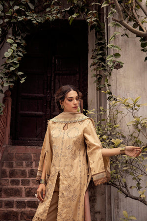 3 Piece Beige Embroidered Organza Lawn - SafaNoor