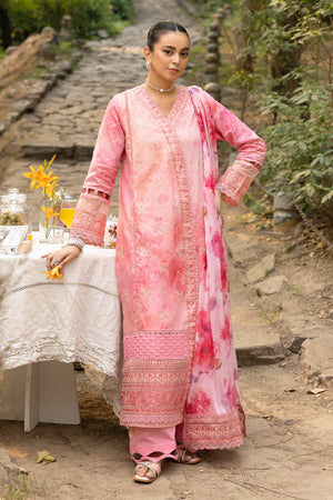 3 Piece Rose Pink Unstitched Embroidered Lawn - (Vol-108/12)3P-S-25-D5 - SAFANOOR