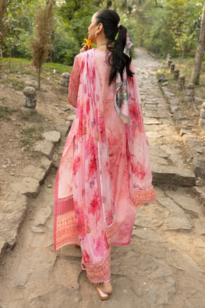 3 Piece Rose Pink Unstitched Embroidered Lawn - (Vol-108/12)3P-S-25-D5 - SAFANOOR