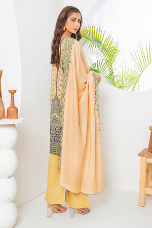 3 Piece Skin Printed Khaddar Unstitched - SafaNoor