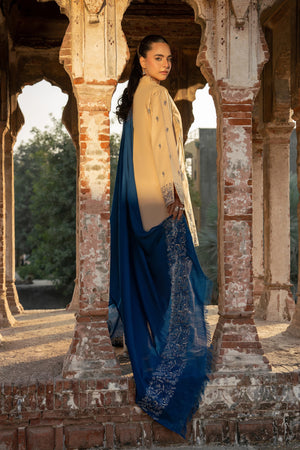 3 Piece Unstitched Dye Warm Naps Burly Wood Suit