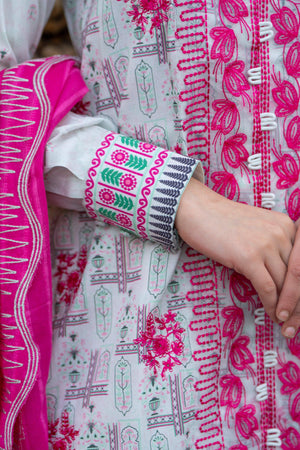 3 Piece Unstitched Gray Embroidered Lawn - SafaNoor