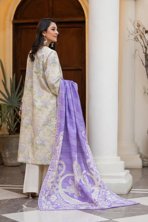 3 Piece Unstitched Naps khaddar Silver Suit - Safa Noor