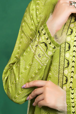 3 Piece Unstitched Parrot Green Cotton - (Vol-110/13)D12 - SAFANOOOR