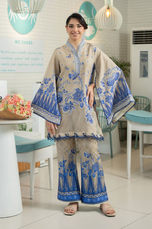 Khaki 2 Piece Unstitched Embroidered Lawn