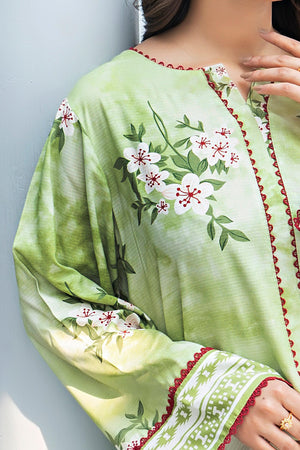 Unstitched Green Printed Linen 2 Piece - SafaNoor