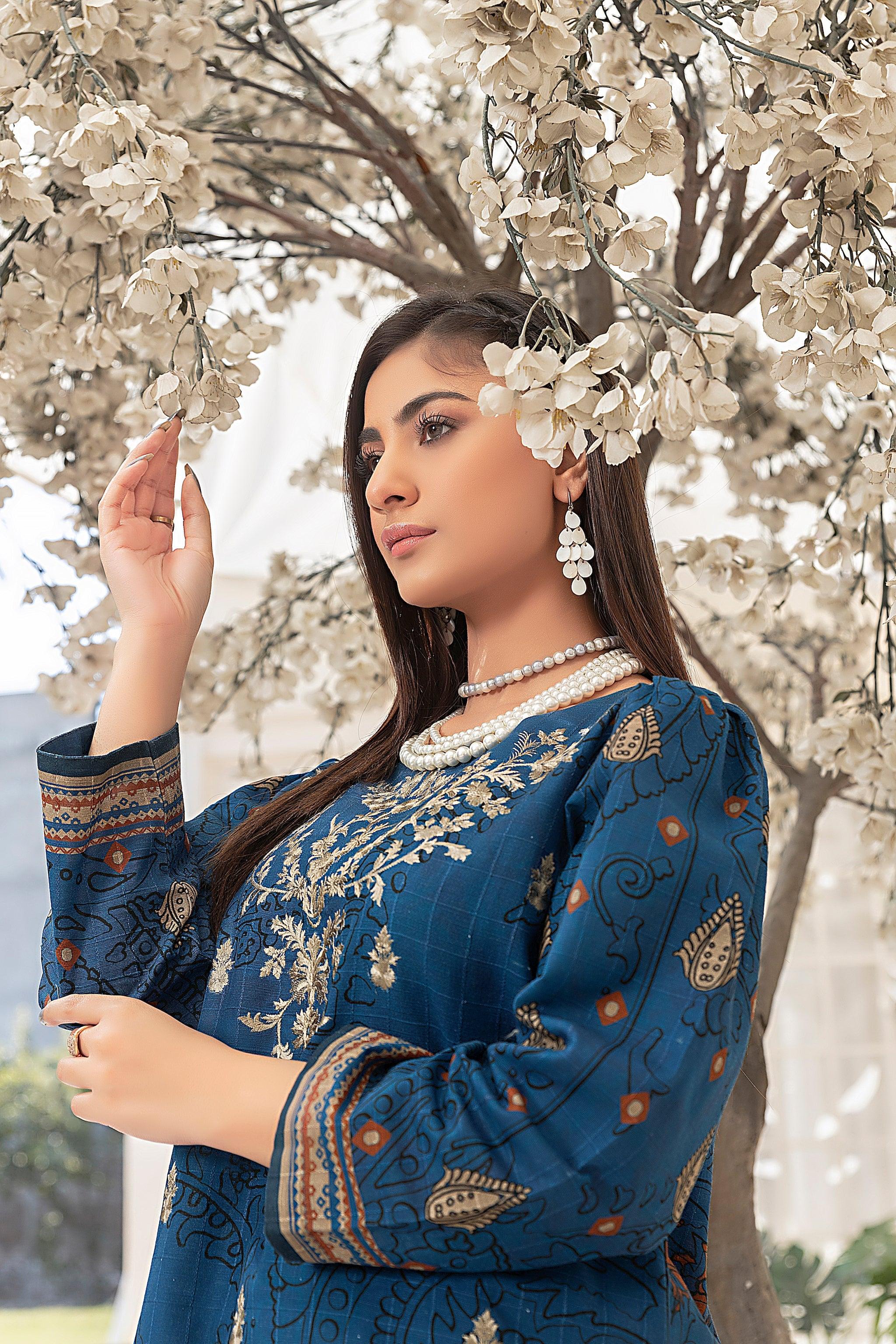 ARSH 2 Piece Embroidered Needle Khaddar Unstitched 2023 Collection - SafaNoor