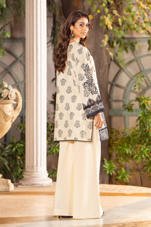 2 Piece Off White Unstitched Naps Khaddar - SafaNoor