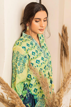 2 Piece Green Embroidered Cotton Unstitched - SafaNoor