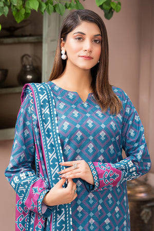 3 Piece Unstitched Blue Printed Khaddar - (Vol-111/11)D4 - SAFANOOOR