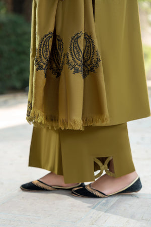 3 Piece Unstitched Dye Warm Naps Olive Brown Suit