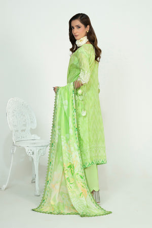 3 Piece Unstitched Mint Green Embroidered Lawn - (Vol-105/06)3P-S-25-D6 - SAFANOOR