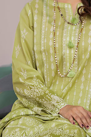 3 Piece Unstitched Pistachio Printed Lawn - (Vol-87/21)3P-S-25-D7 - SafaNoor