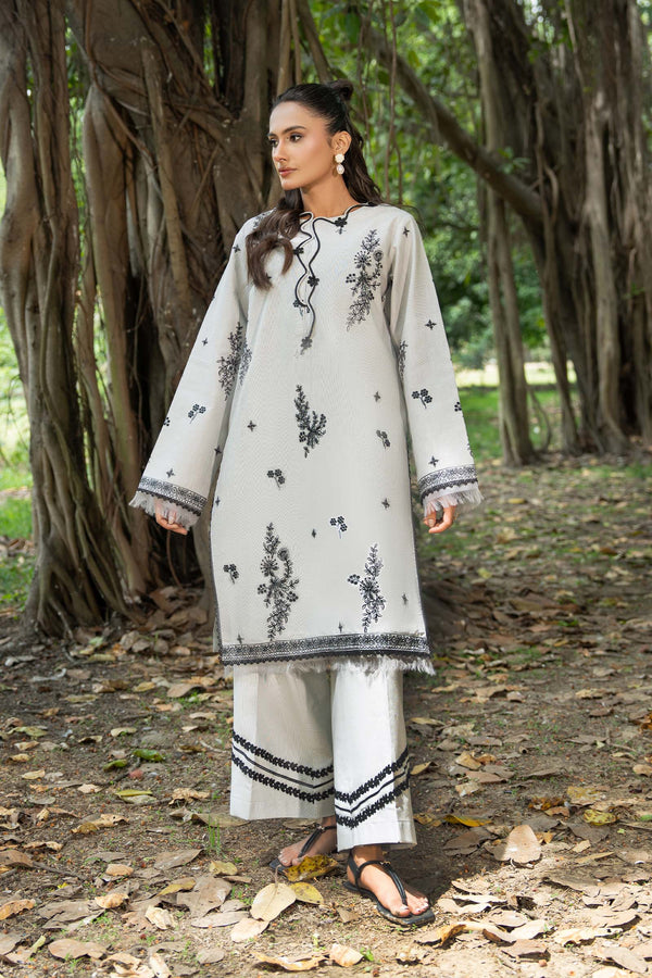 Light Gray 2 Piece Unstitched Dyed Embroidered Lawn